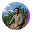 img1